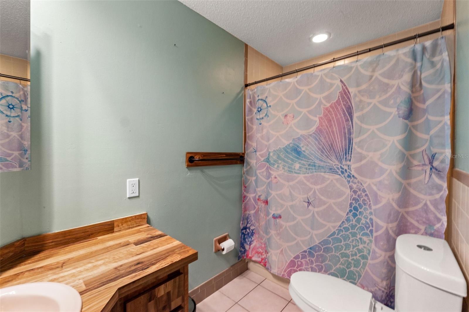 1357 DINSMORE CT — photo 27