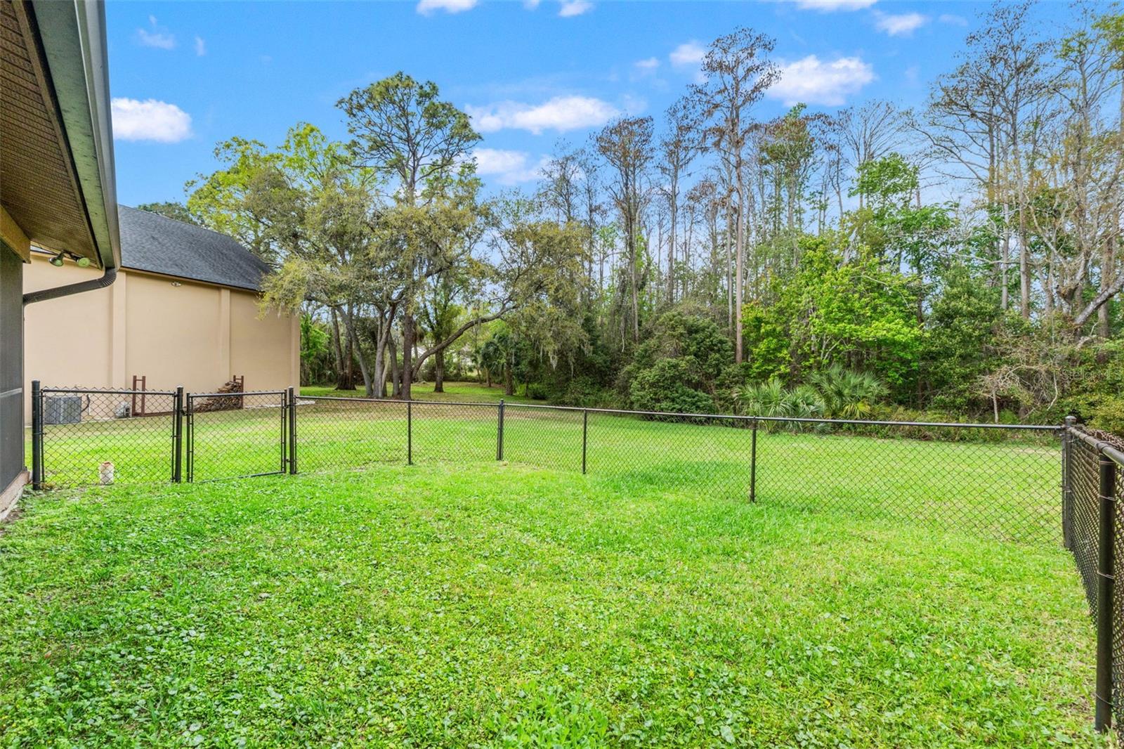 1357 DINSMORE CT — photo 47