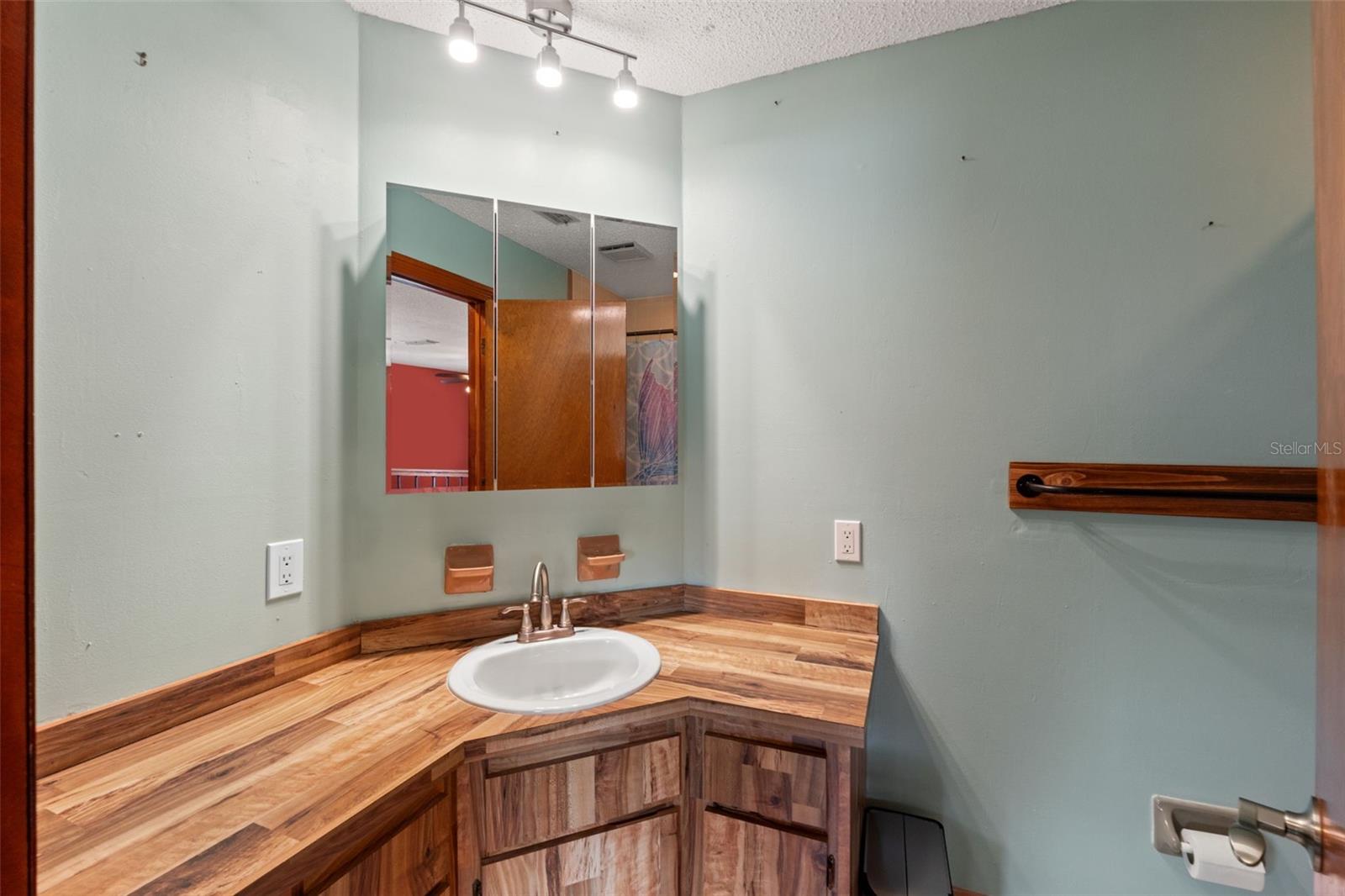 1357 DINSMORE CT — photo 26