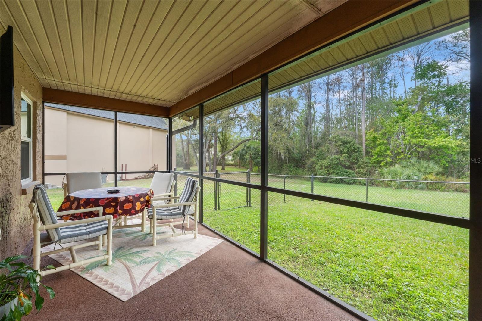 1357 DINSMORE CT — photo 43