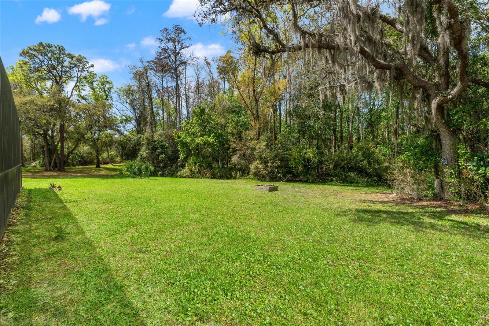 1357 DINSMORE CT — photo 45