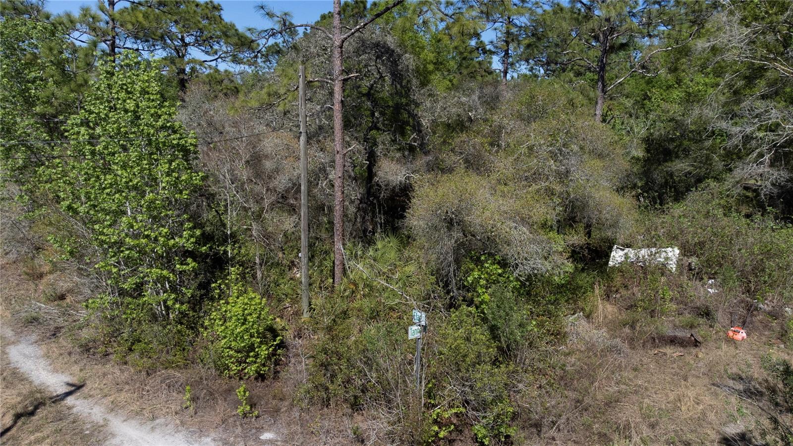 12934 TANNER RD — photo 6