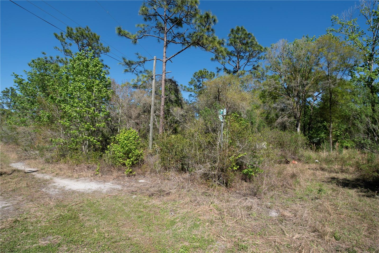 12934 TANNER RD — photo 4