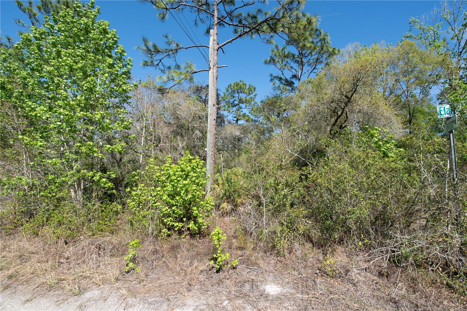 12934 TANNER RD — photo 2