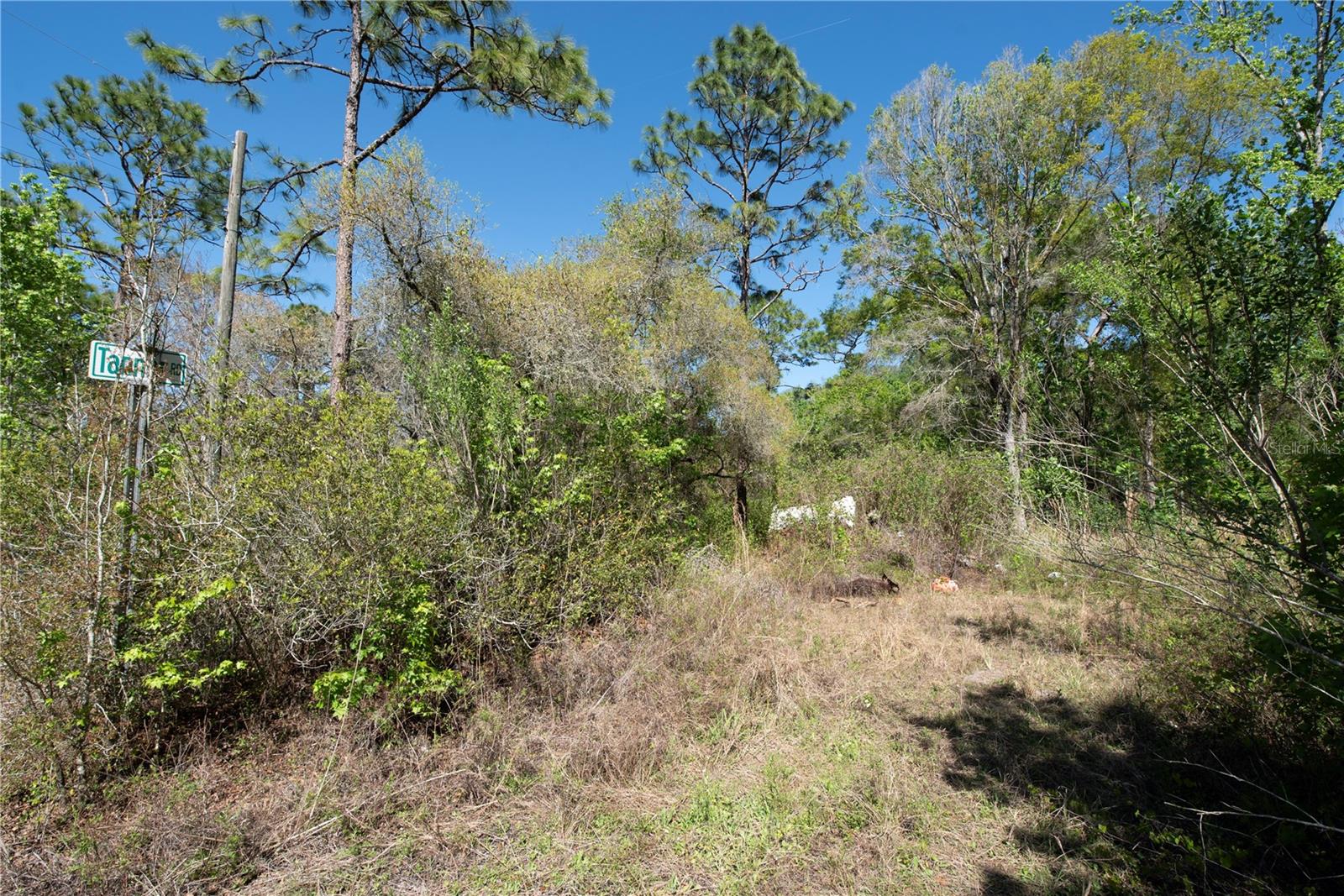 12934 TANNER RD — photo 3