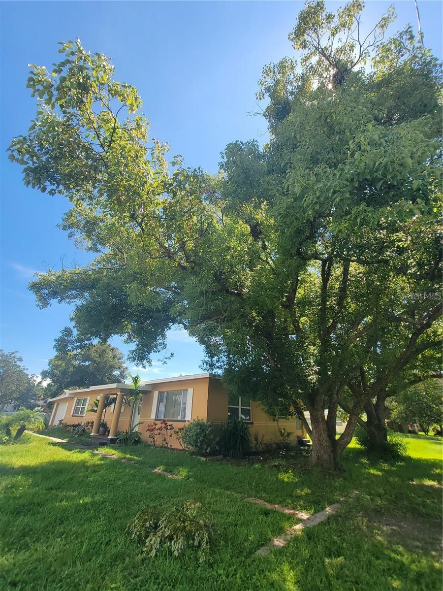 5230 11TH AVE S — photo 13