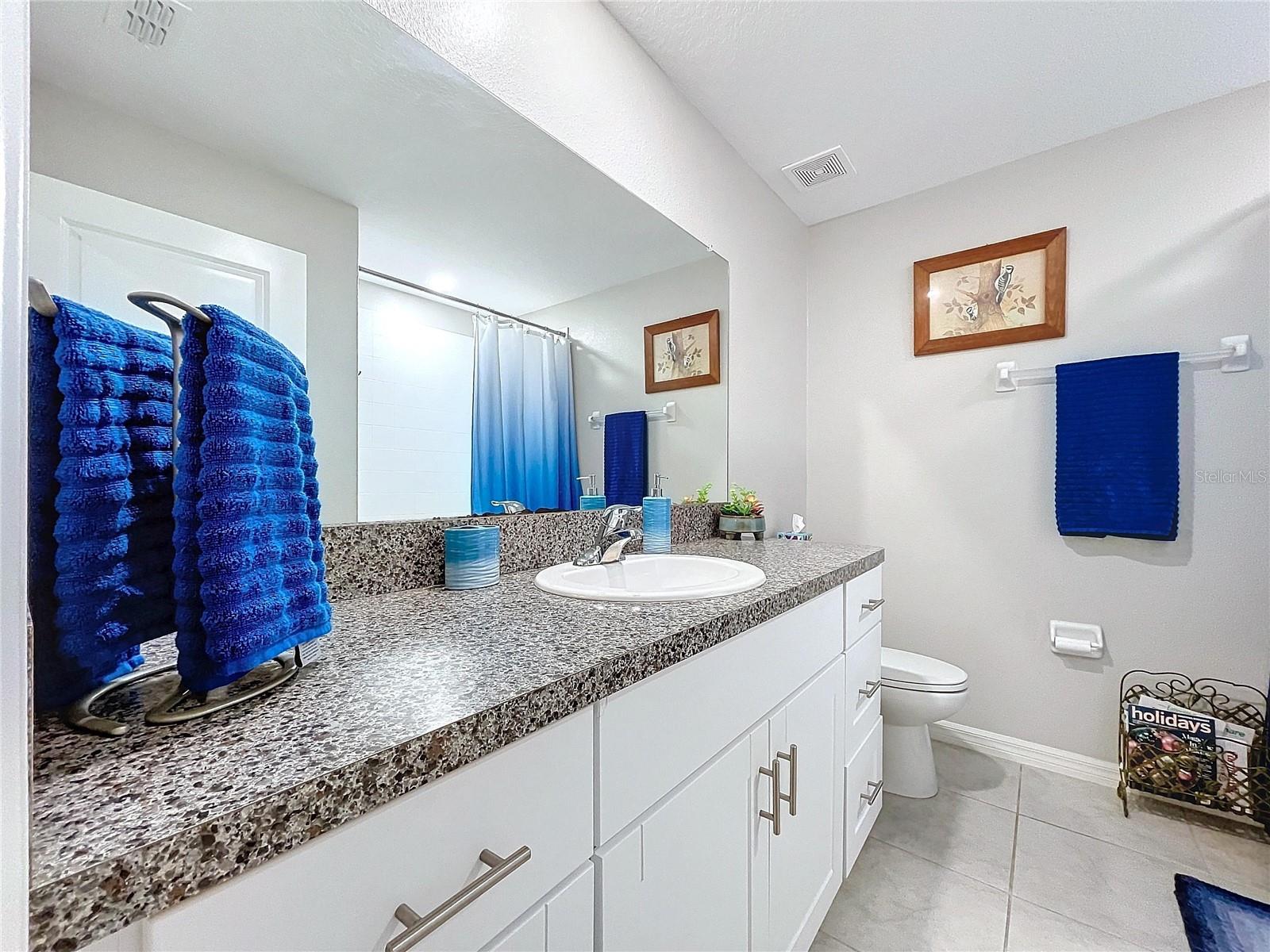 197 RAIN BERRY AVE — photo 13
