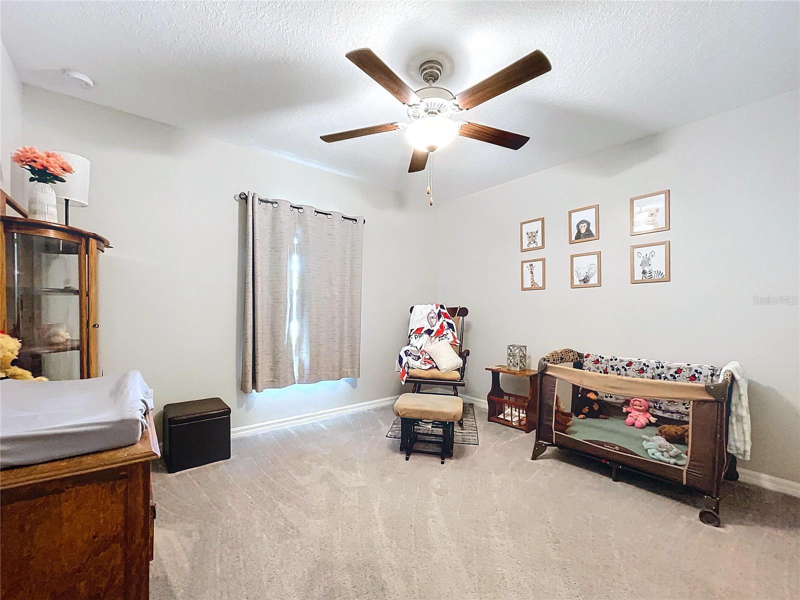 197 RAIN BERRY AVE — photo 16