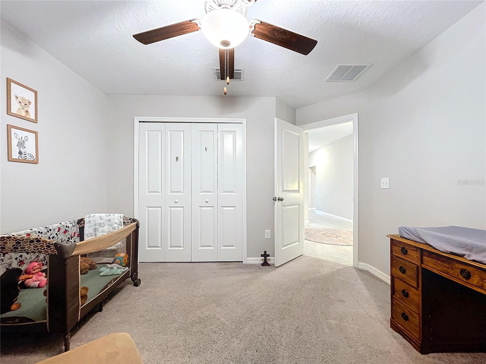 197 RAIN BERRY AVE — photo 15