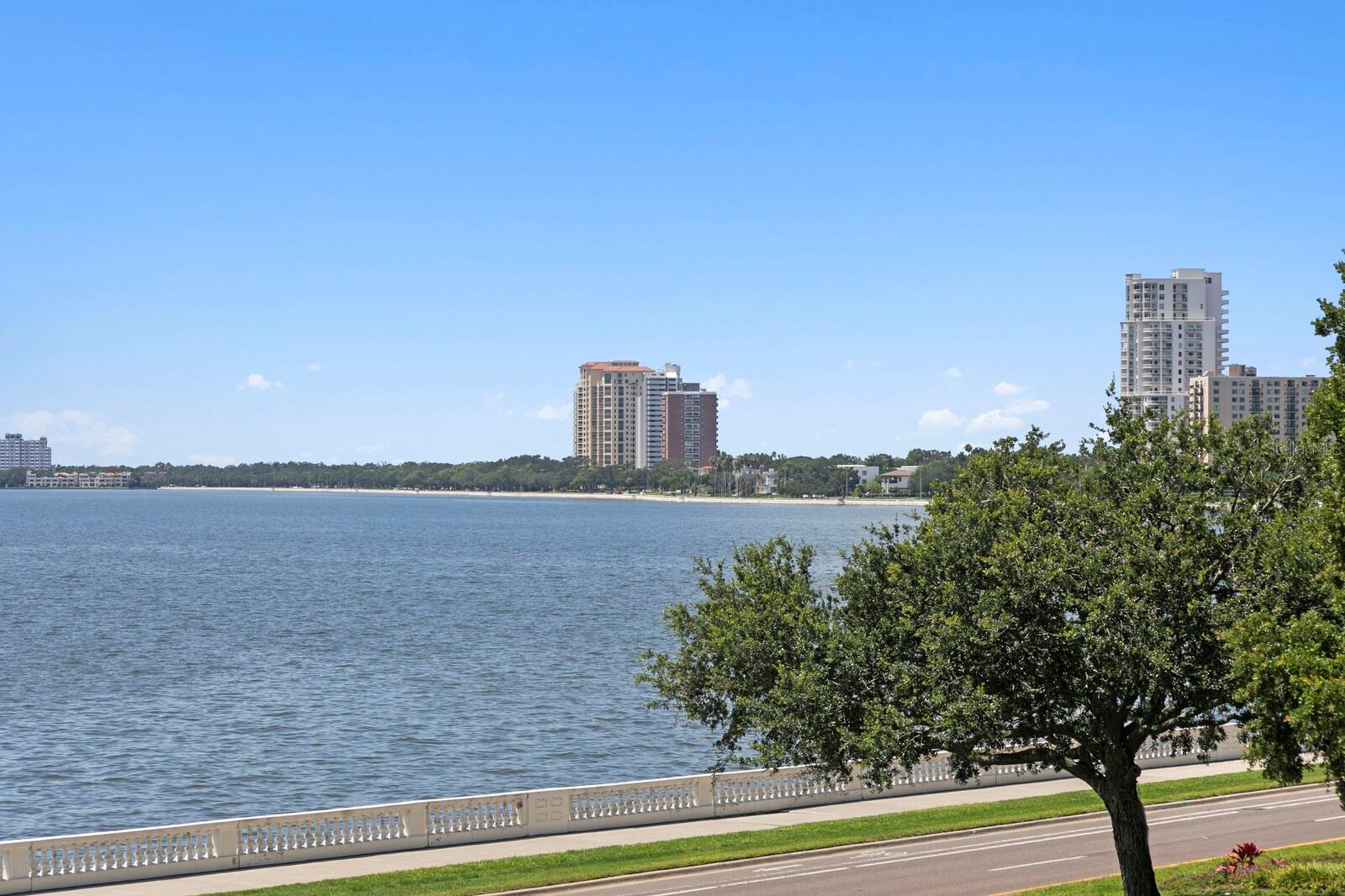 2619 BAYSHORE BLVD #200 — photo 46