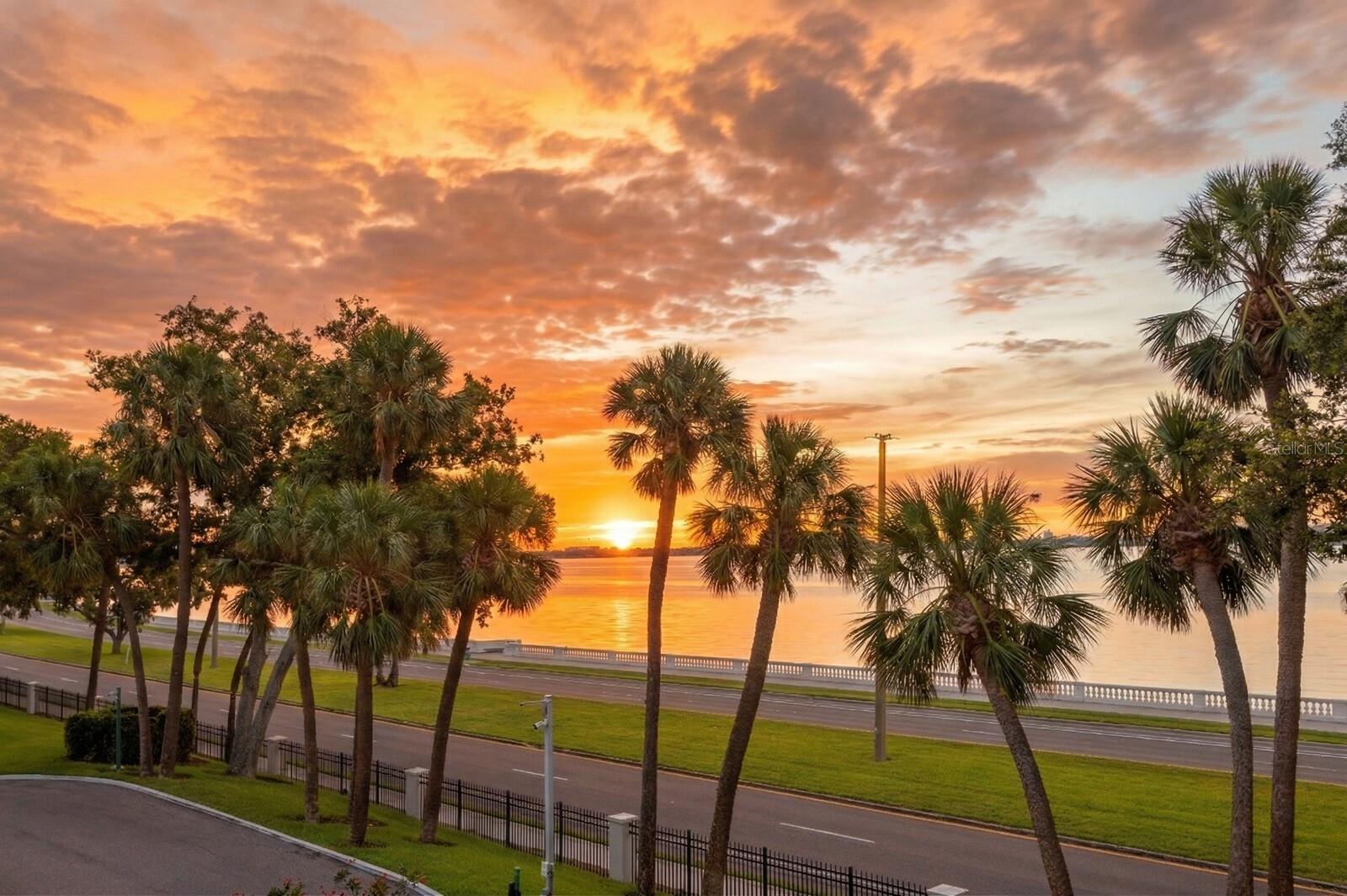 2619 BAYSHORE BLVD #200 — photo 48