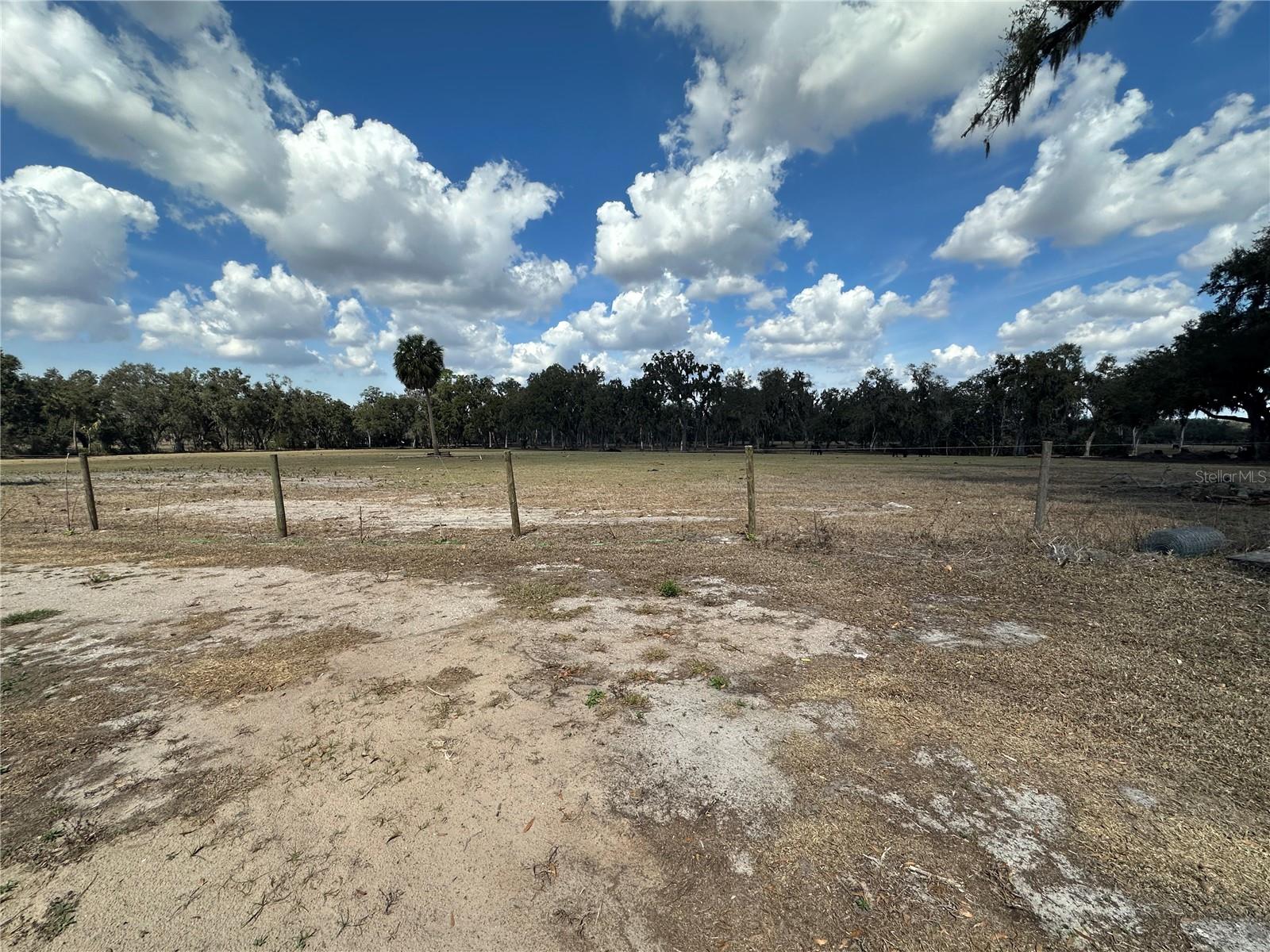 9988 BRYANT RD — photo 11