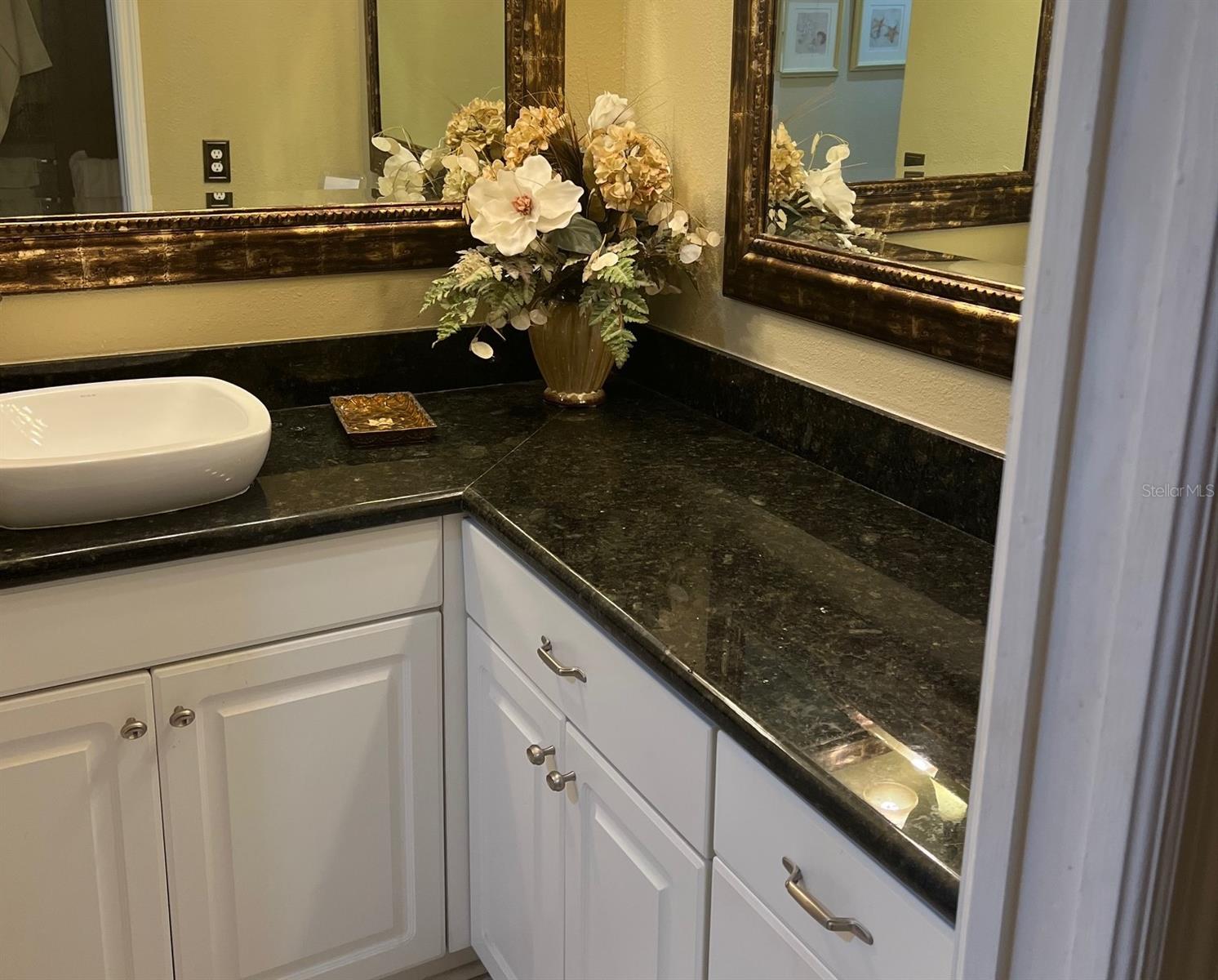 8750 OLDE HICKORY AVE #9105 — photo 13