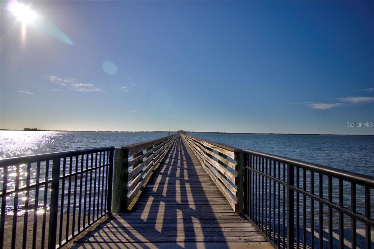 5 SHORE DR — photo 45
