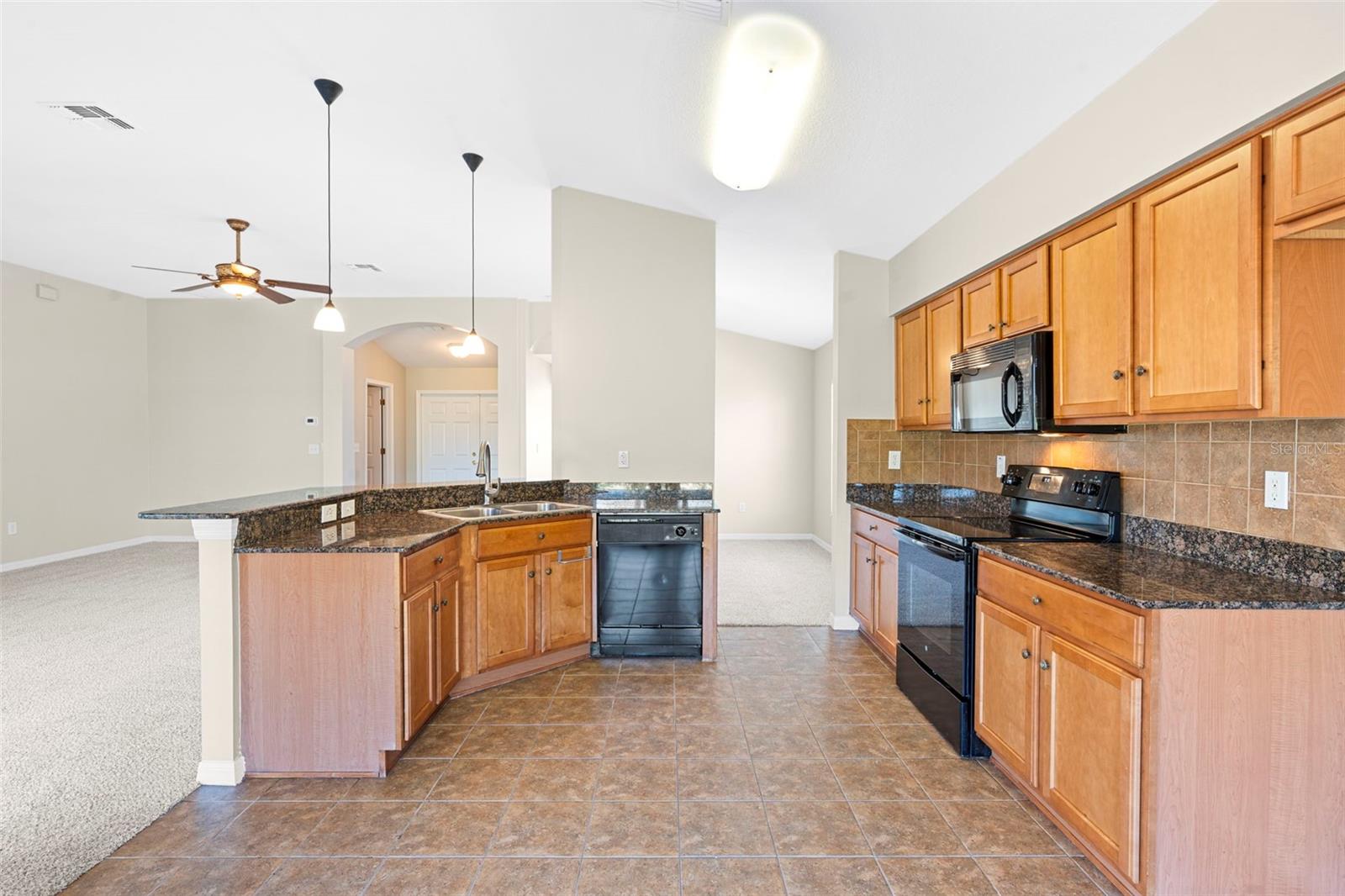 29232 COHARIE LOOP — photo 14