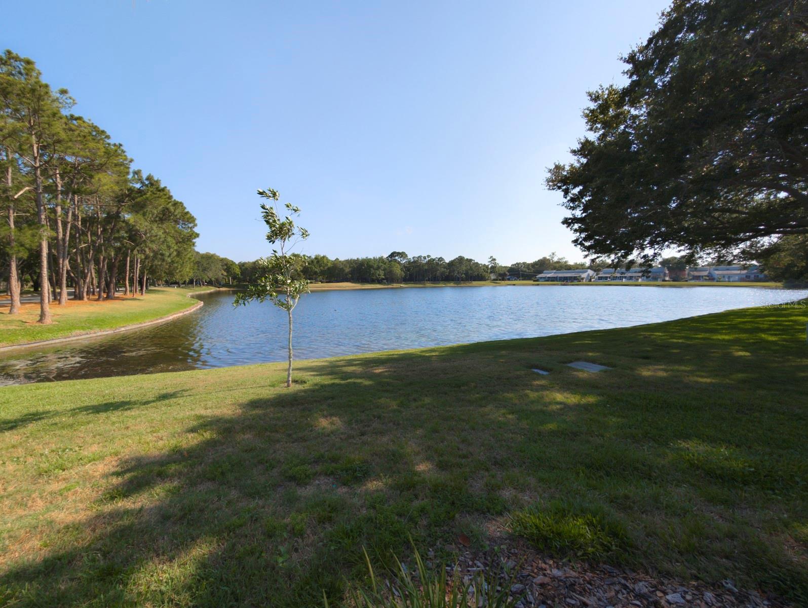 3077 BRANCH DR — photo 53