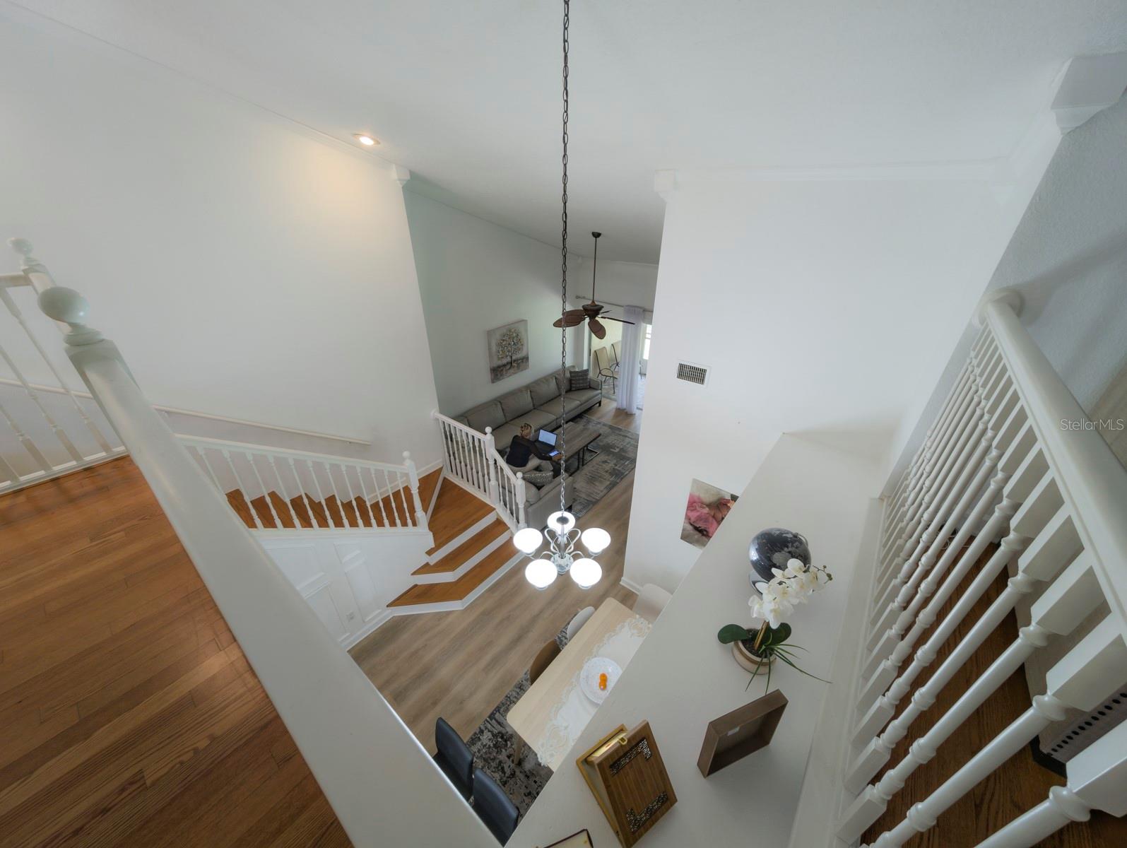 3077 BRANCH DR — photo 31