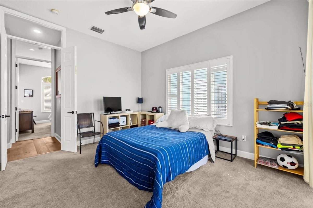 8117 BRIGHTON DR — photo 42
