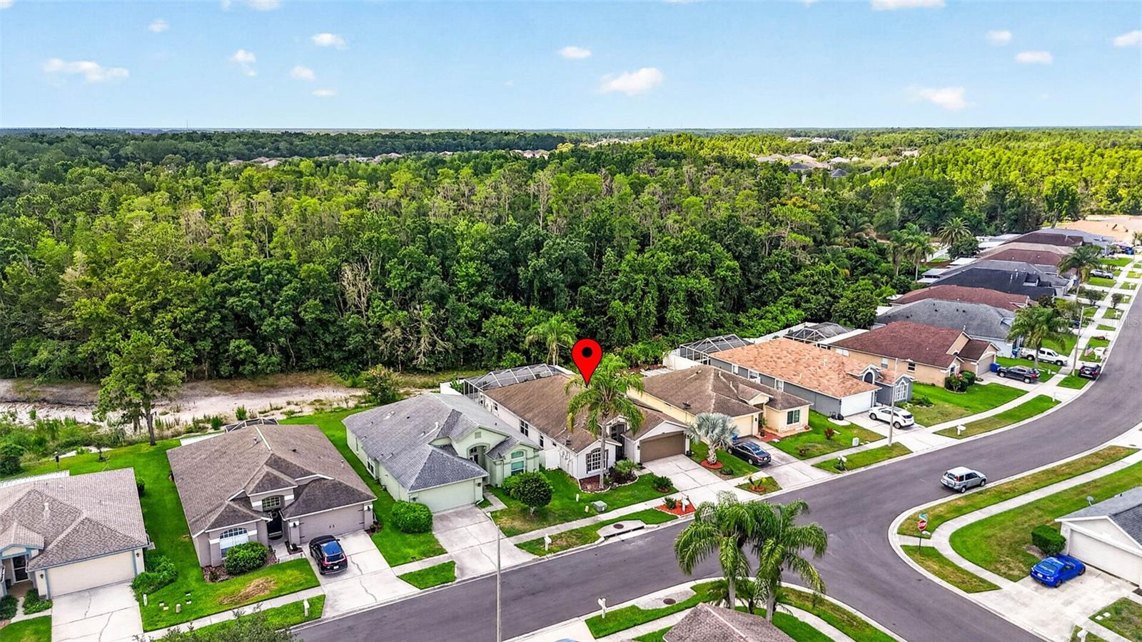 29454 CROSSLAND DR — photo 49