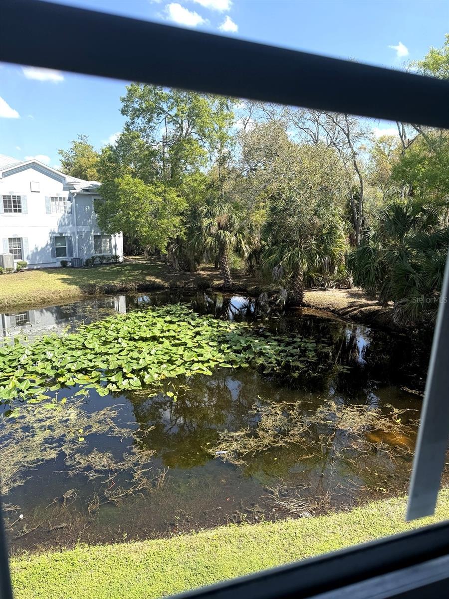 7135 WATERSIDE DR — photo 12