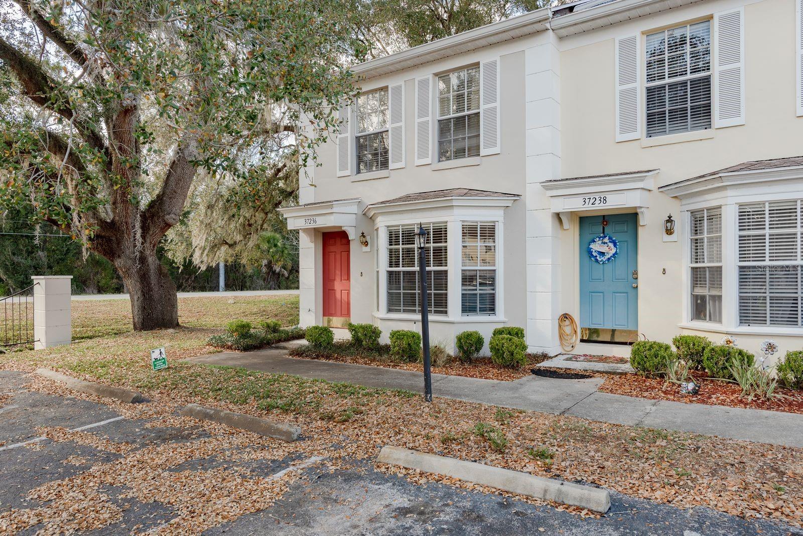 37236 EMBASSY PARK LN #1 — photo 5
