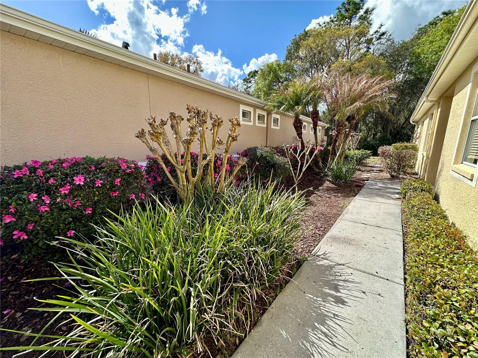 8137 PONKAN RD — photo 42
