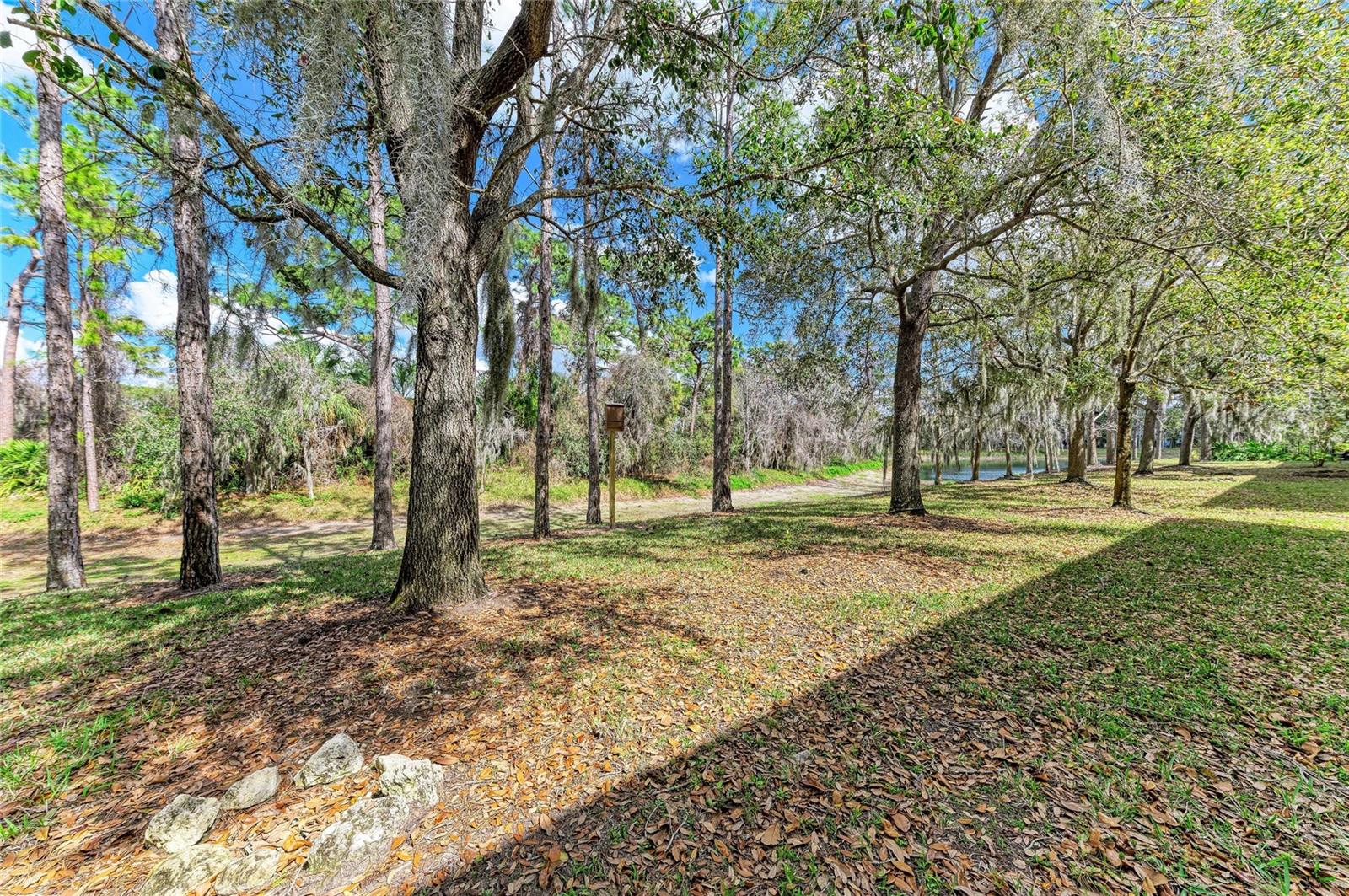 8160 VILLA GRANDE CT — photo 39