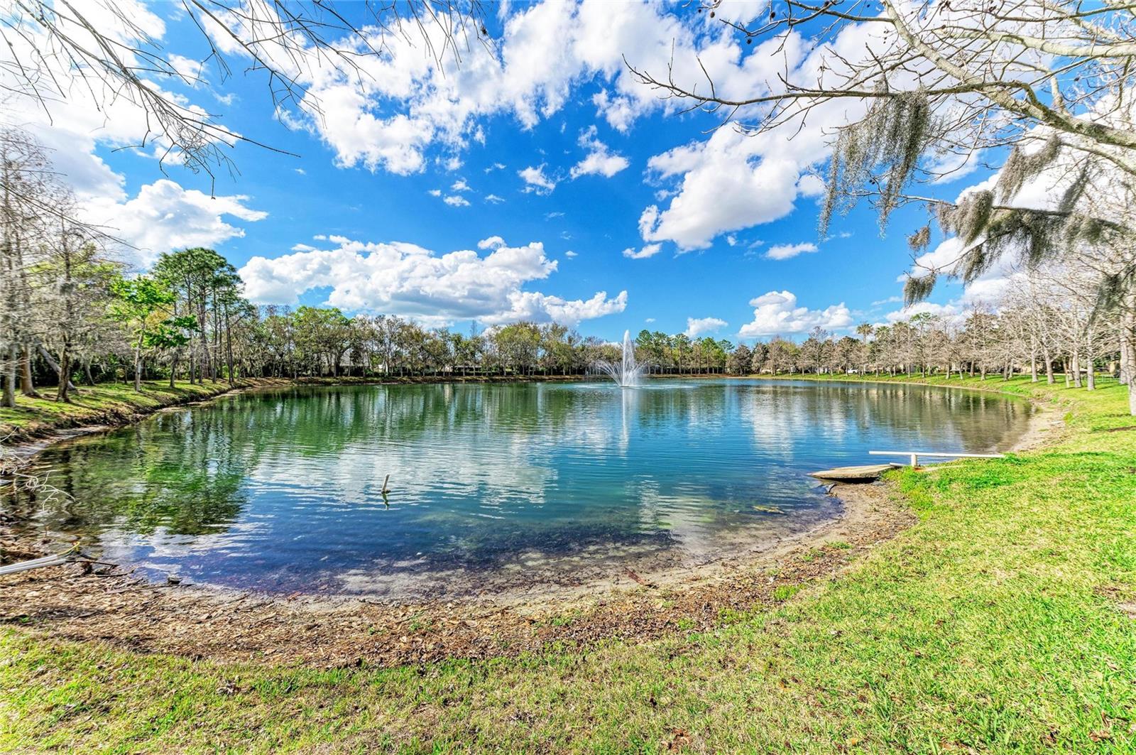 8160 VILLA GRANDE CT — photo 47