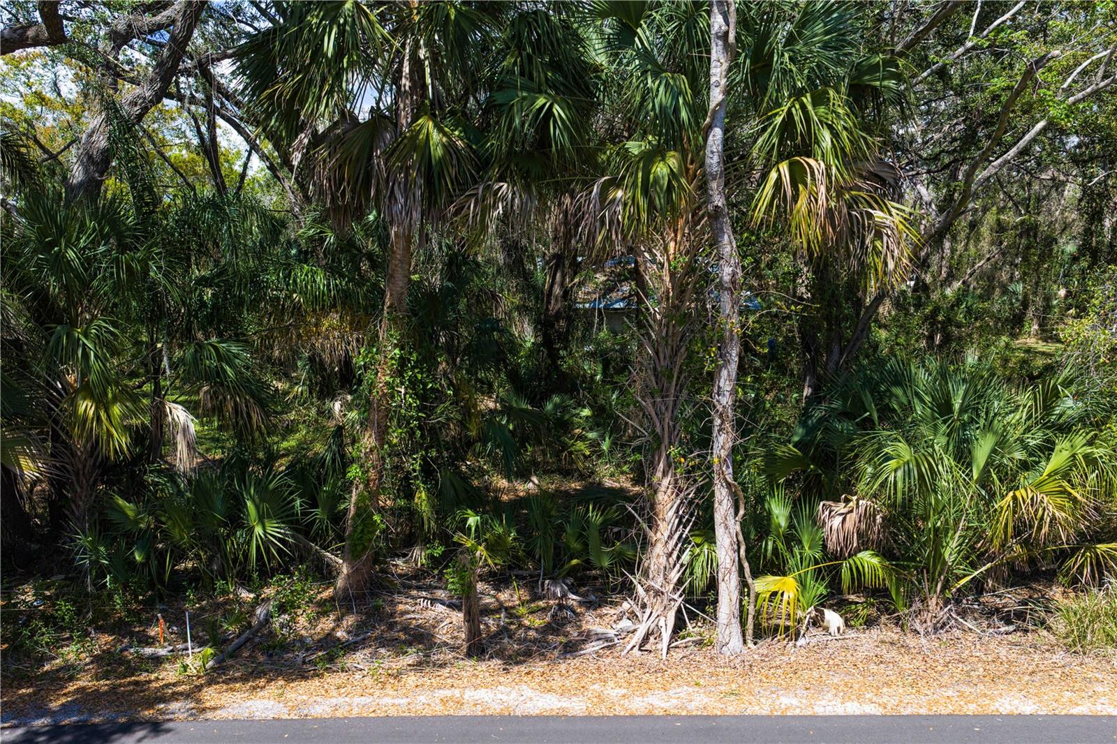 8004 BAY DR — photo 14