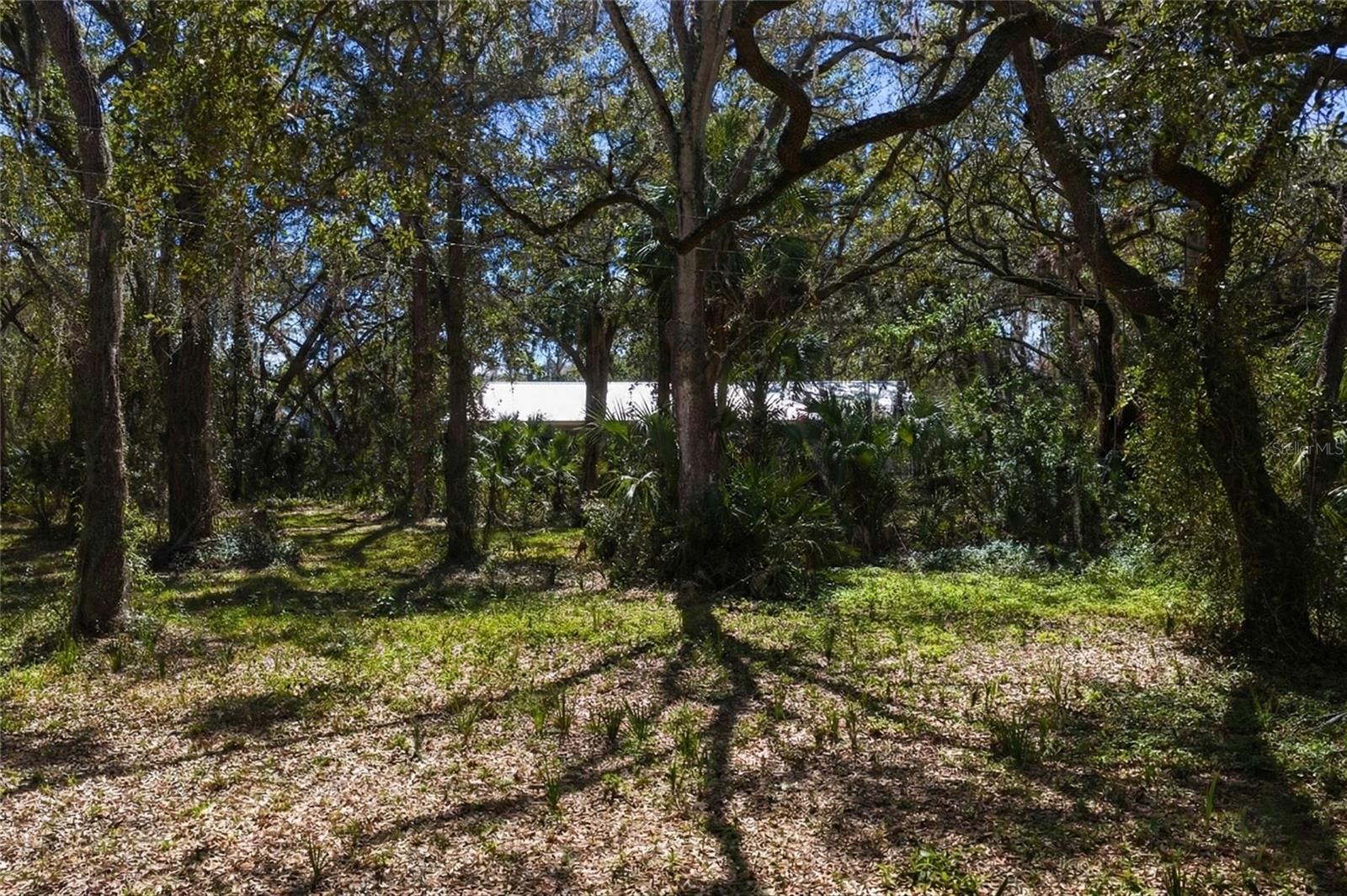 8004 BAY DR — photo 4
