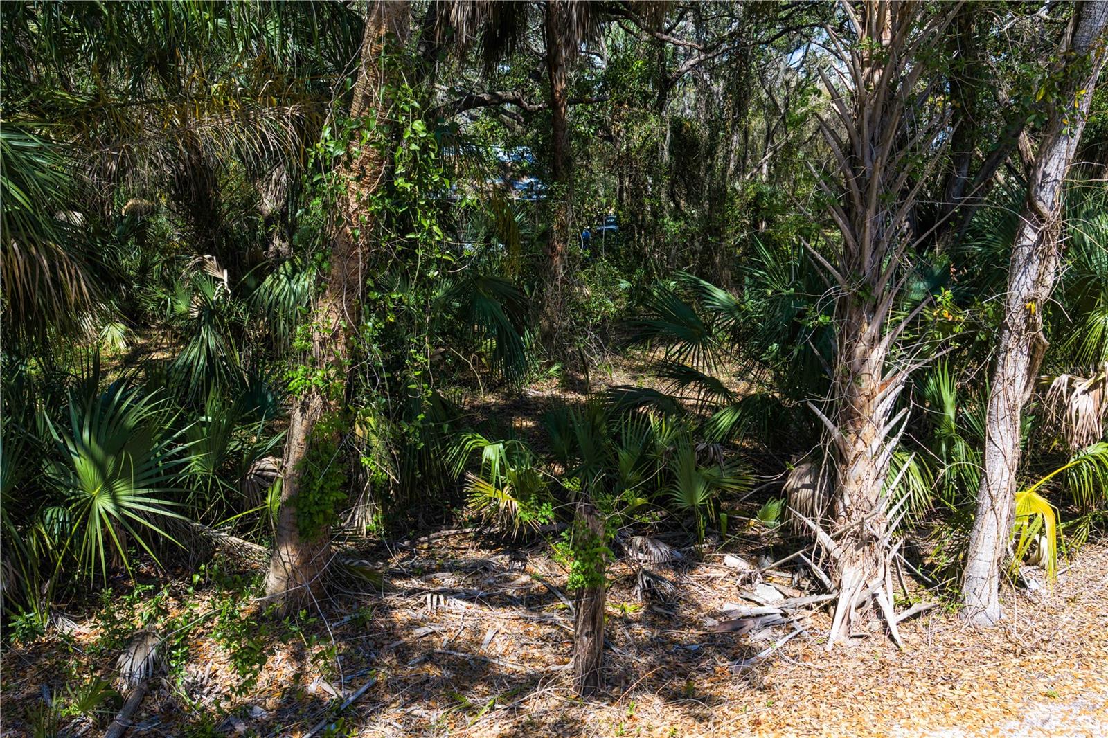 8004 BAY DR — photo 13
