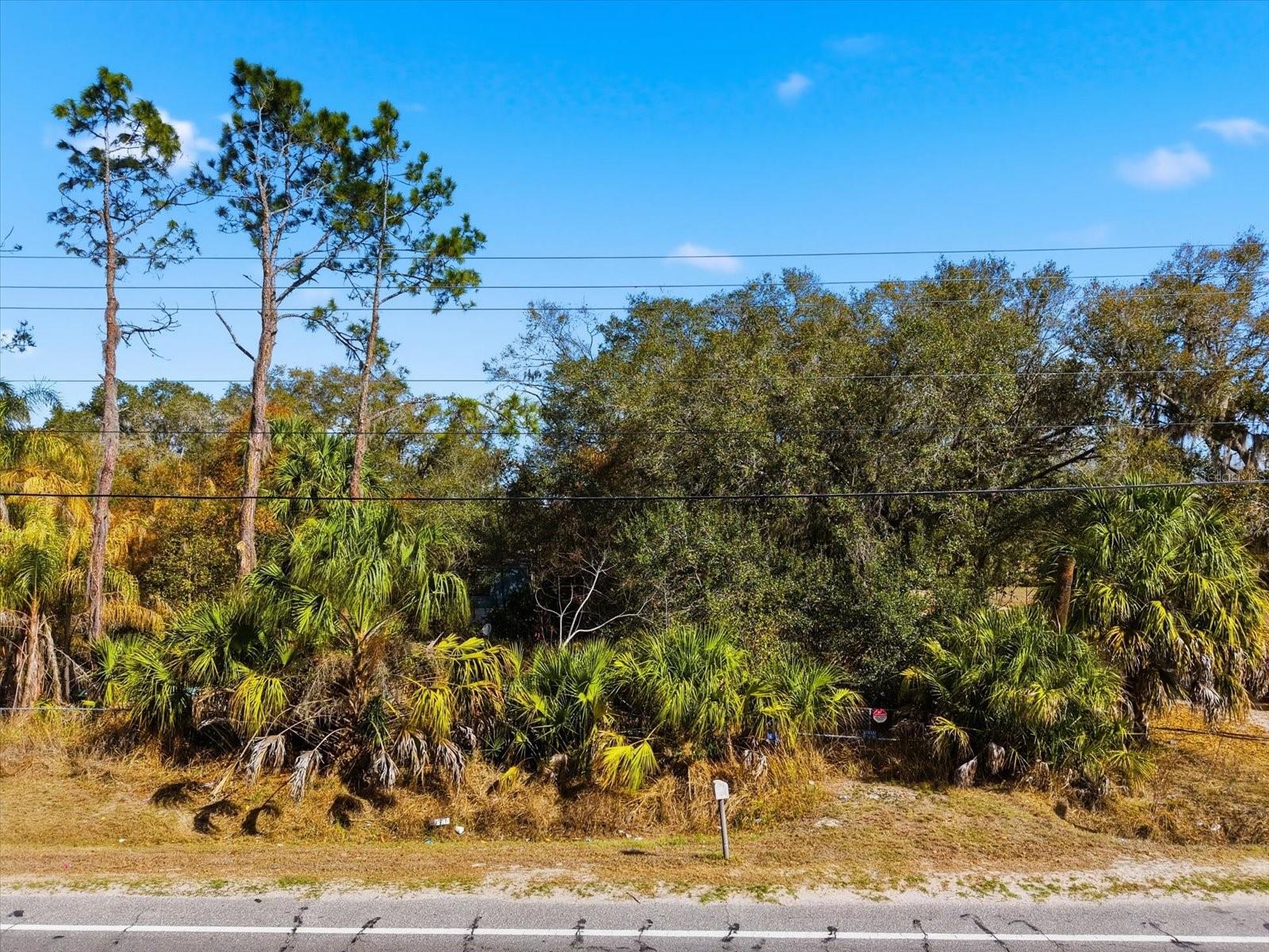 8529 LITHIA PINECREST RD — photo 2