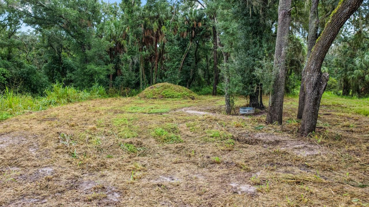 3106 TIMBERLEE RD — photo 11