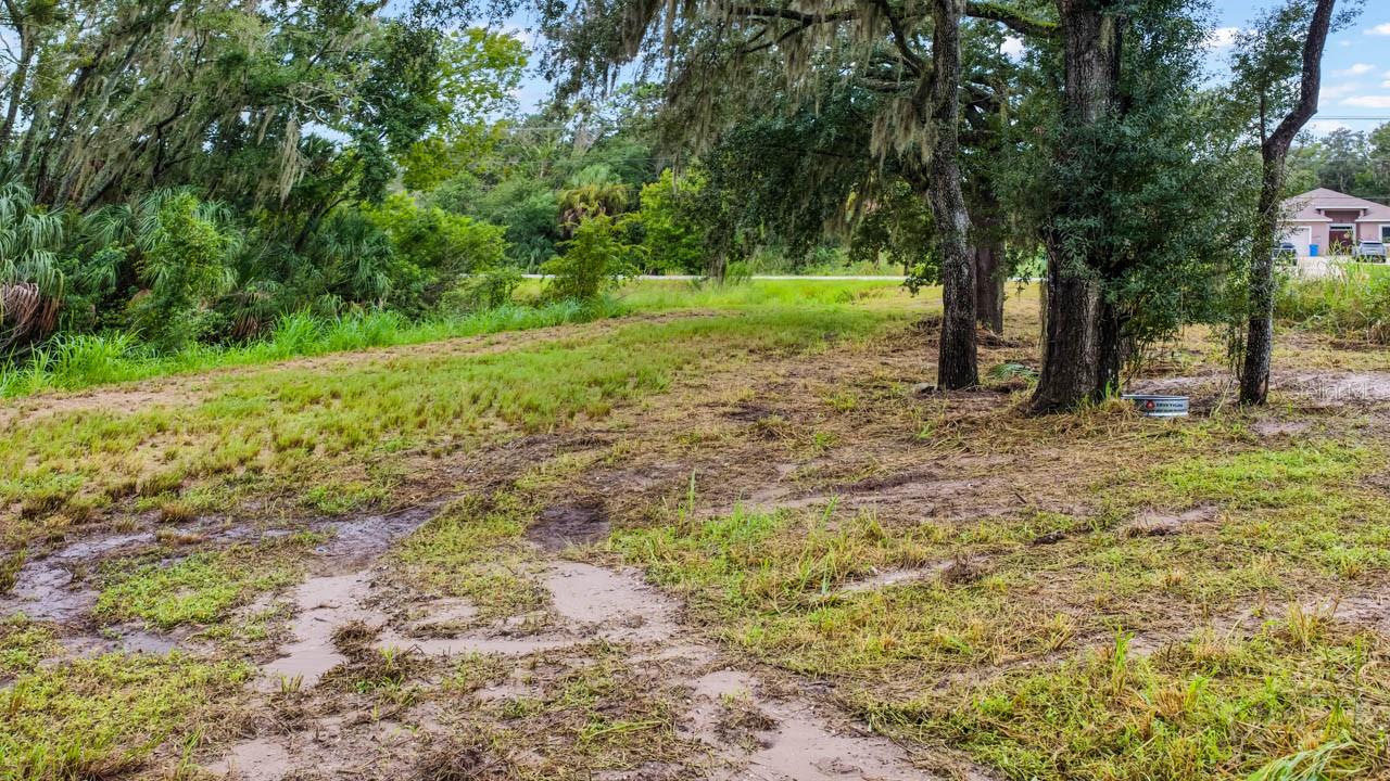 3106 TIMBERLEE RD — photo 4