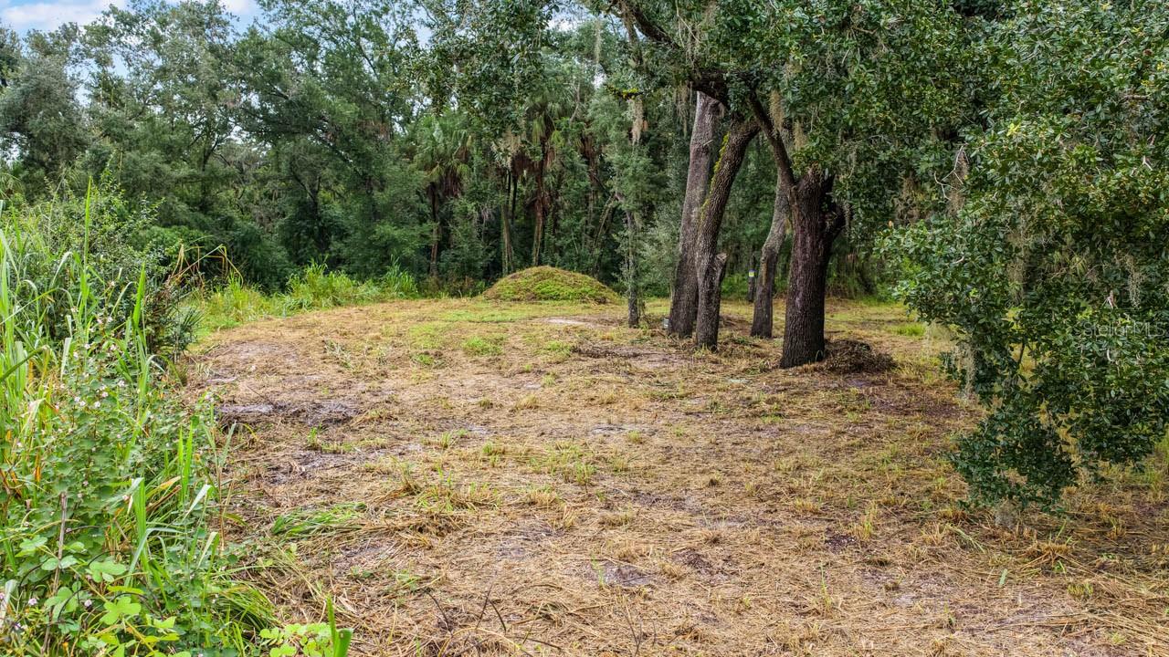 3106 TIMBERLEE RD — photo 7