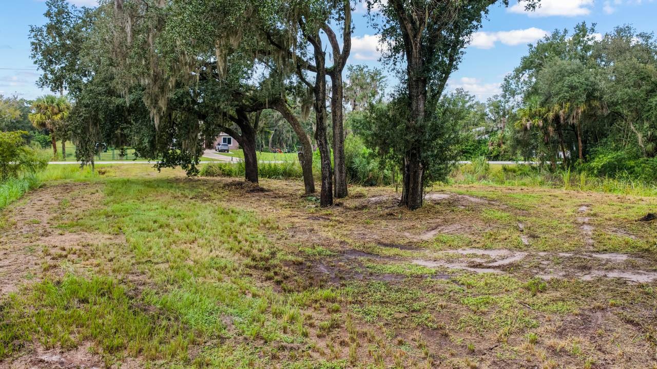 3106 TIMBERLEE RD — photo 3