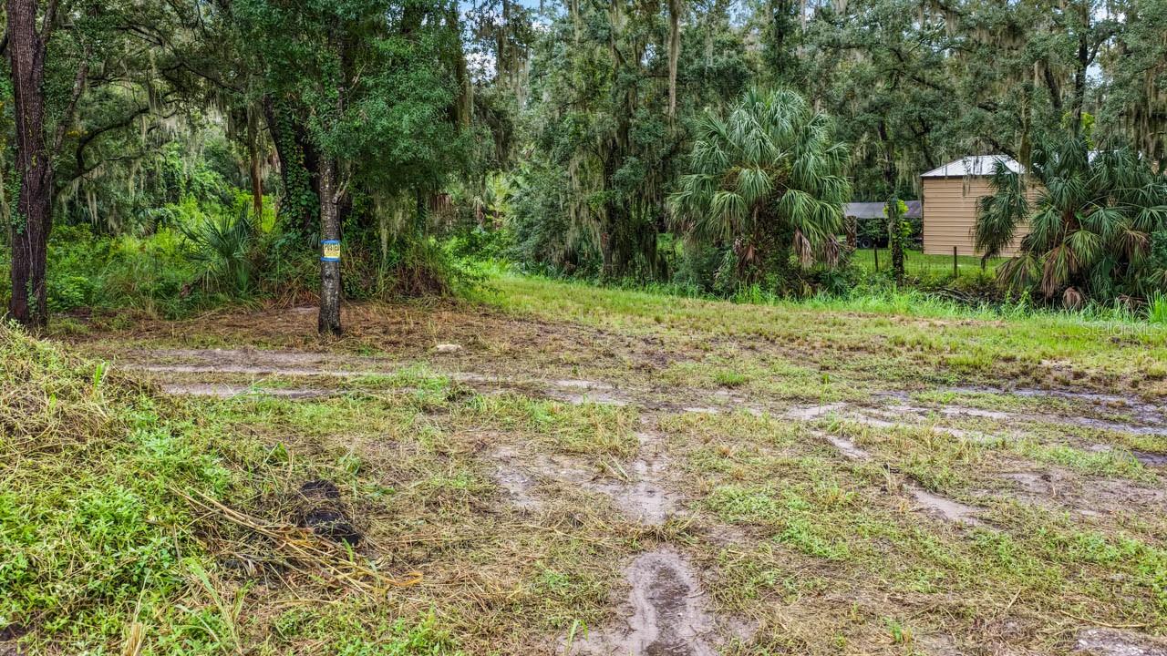 3106 TIMBERLEE RD — photo 19