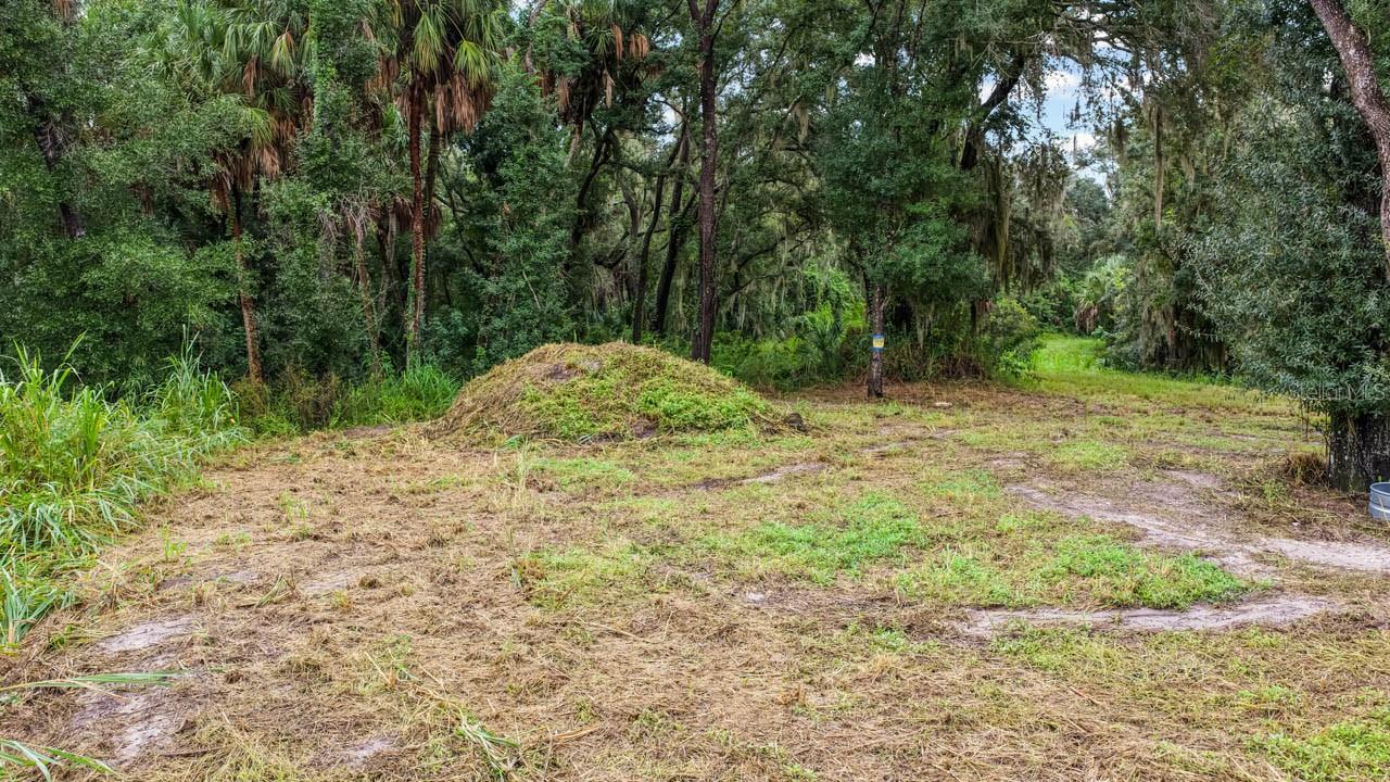 3106 TIMBERLEE RD — photo 20