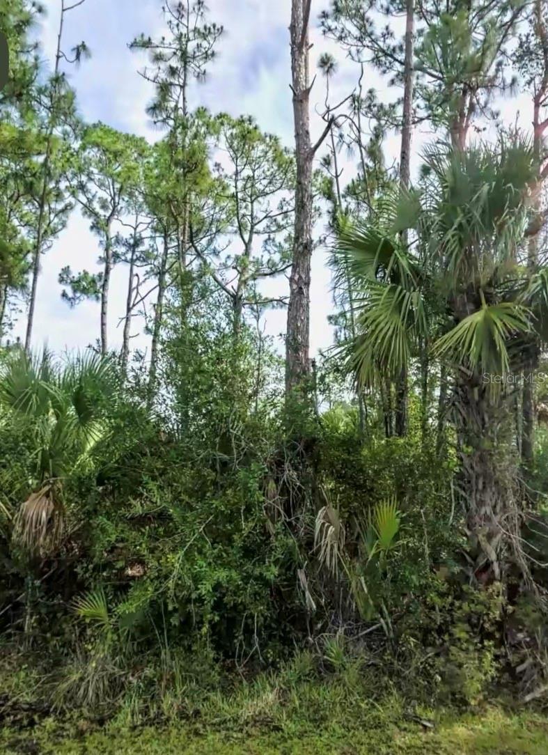 Lot 17 DONATELLO AVE — photo 3