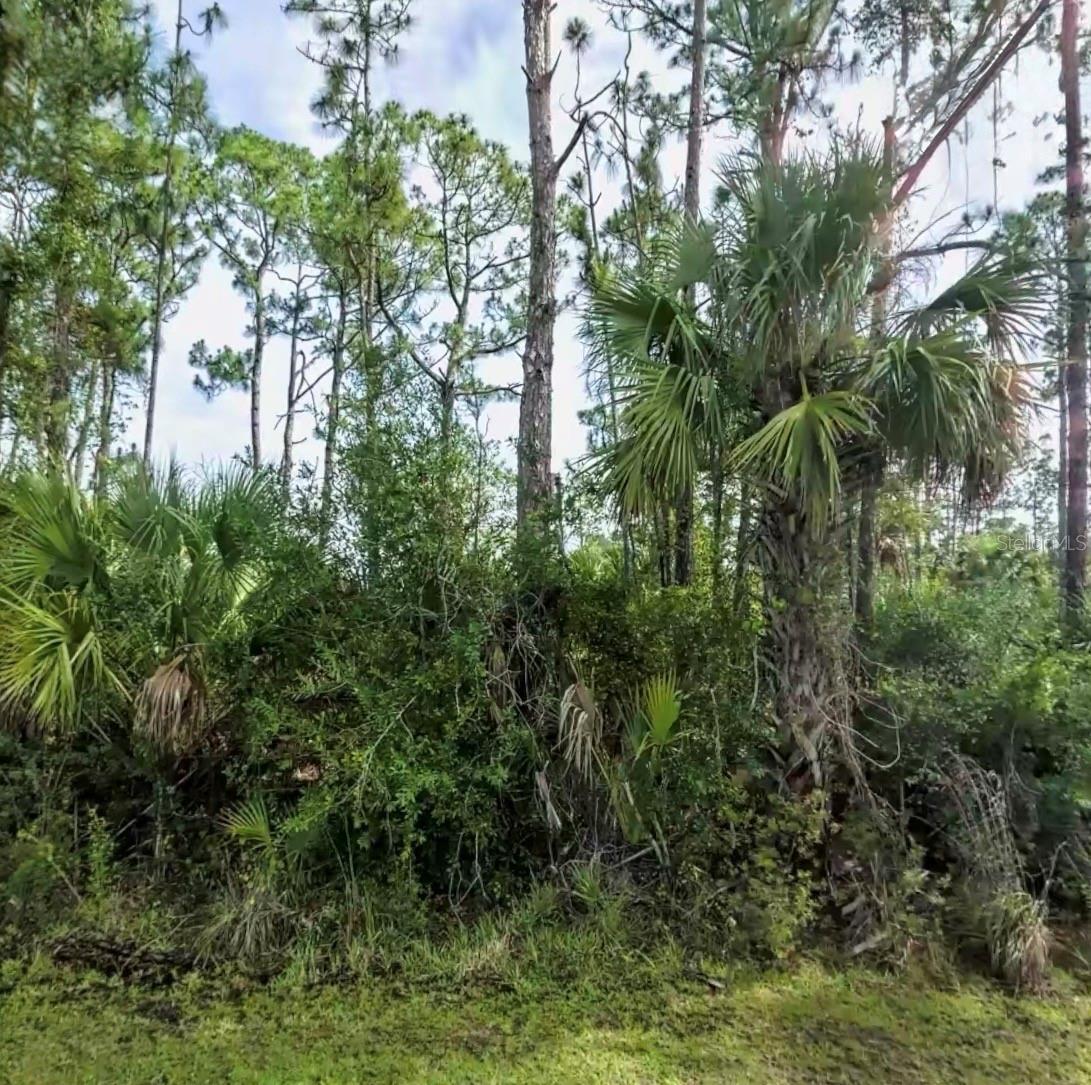 Lot 17 DONATELLO AVE — photo 5
