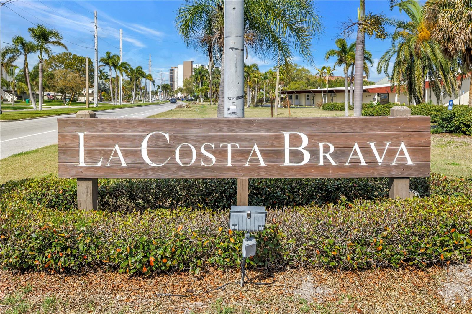 509 PLAZA SEVILLE CT #19 — photo 40