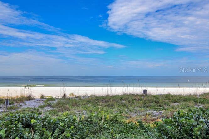 1520 GULF BLVD #1602 — photo 82