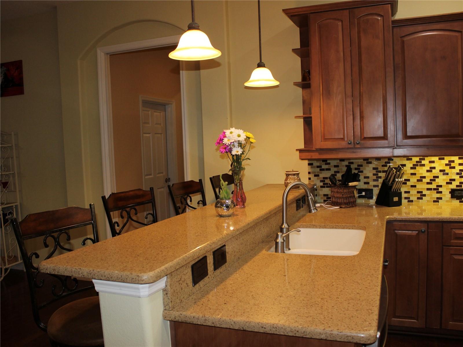 406 PETREL TRL — photo 27