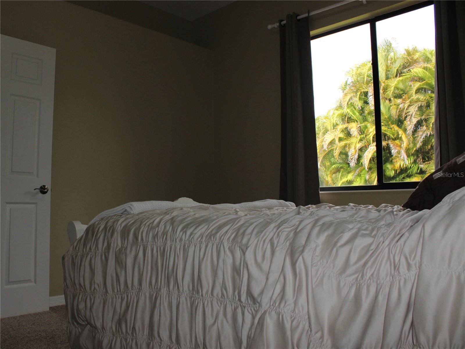 406 PETREL TRL — photo 59