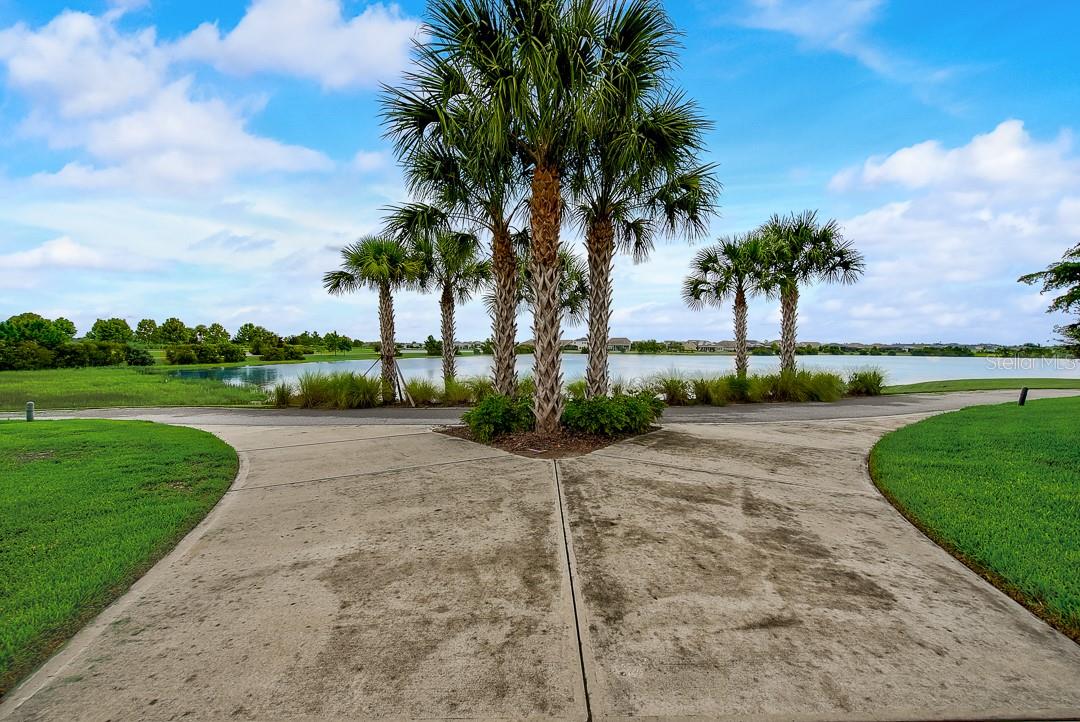 6262 GOLDCOAST AVE — photo 49