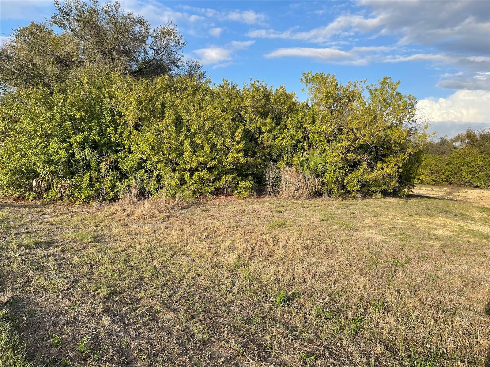 Lot #9 S LIPSCOMB ST — photo 2