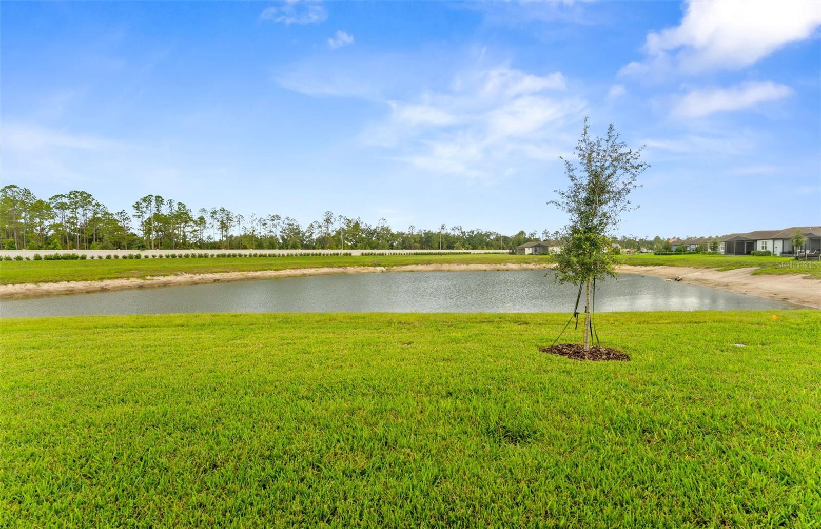 16739 HARVEST LEAF RD — photo 19
