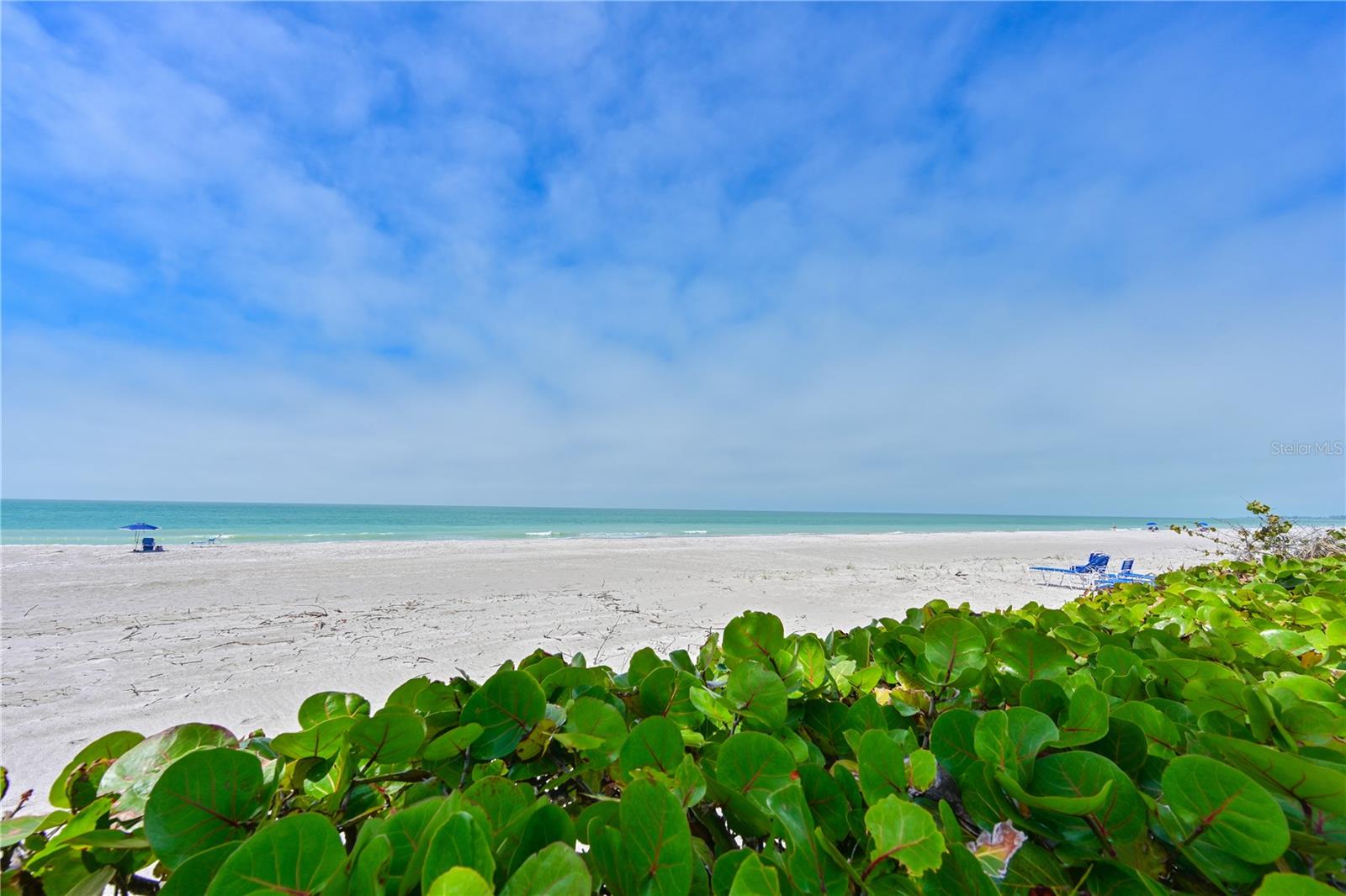 3806 GULF OF MEXICO DR #C211 — photo 20