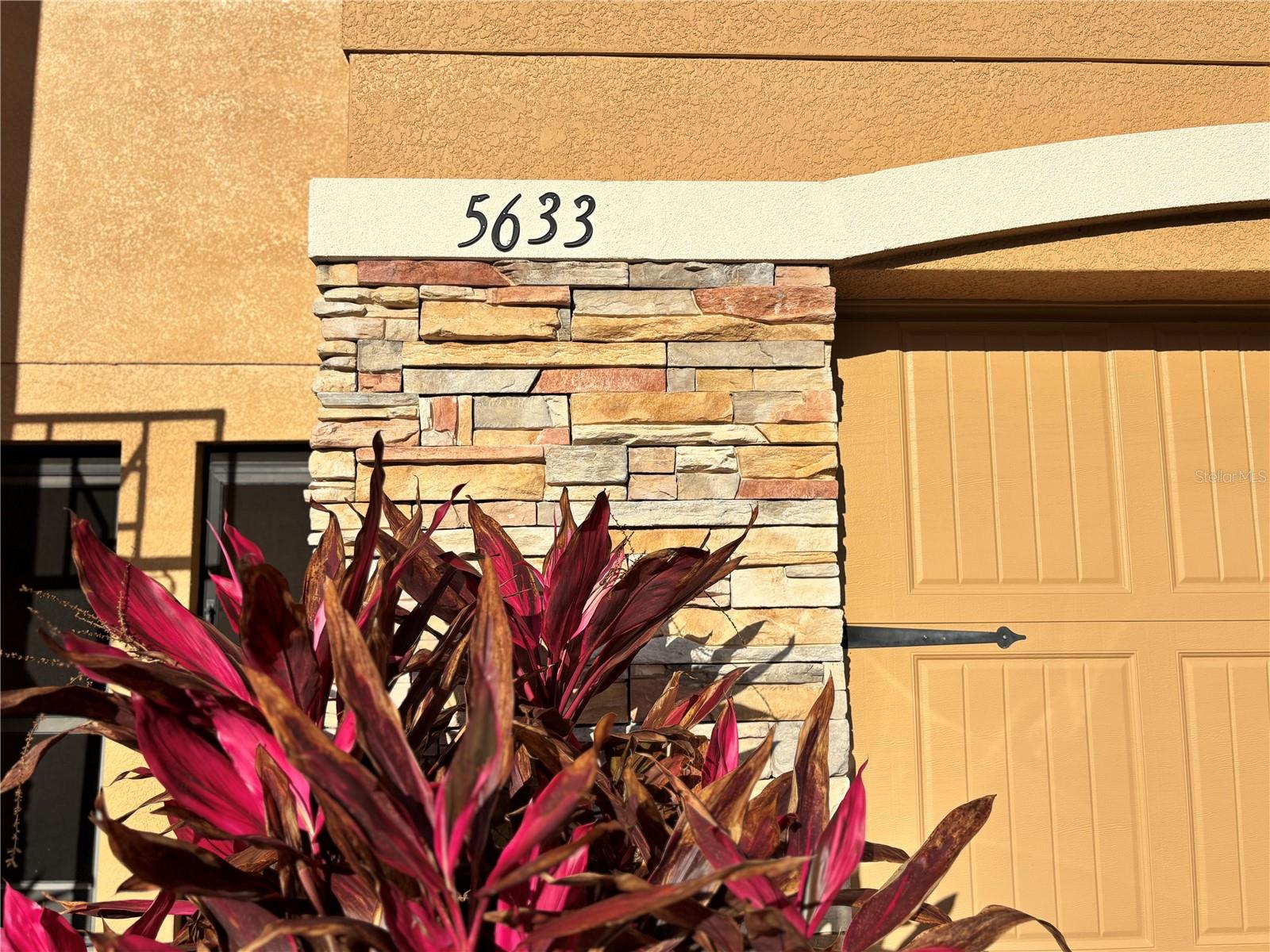 5633 BLACKFIN DR — photo 2
