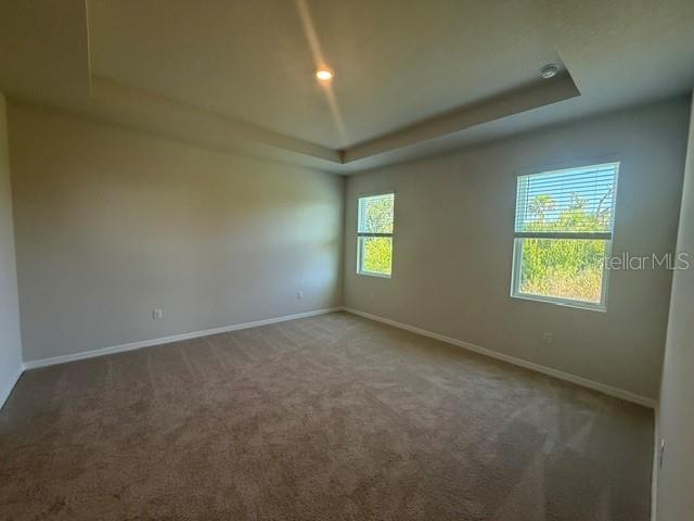 4321 SILVER BIRCH CT — photo 4